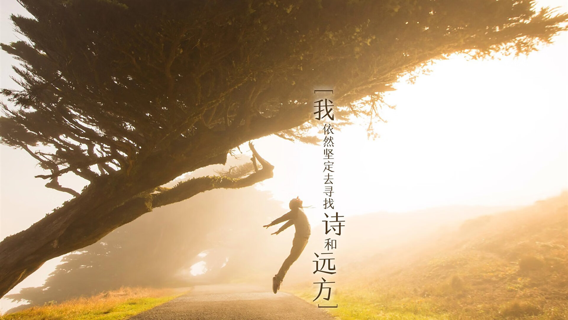 洪都拉斯震撼晋级巴黎!年度焦点之战全解析,足球小国的奥运逆袭传奇