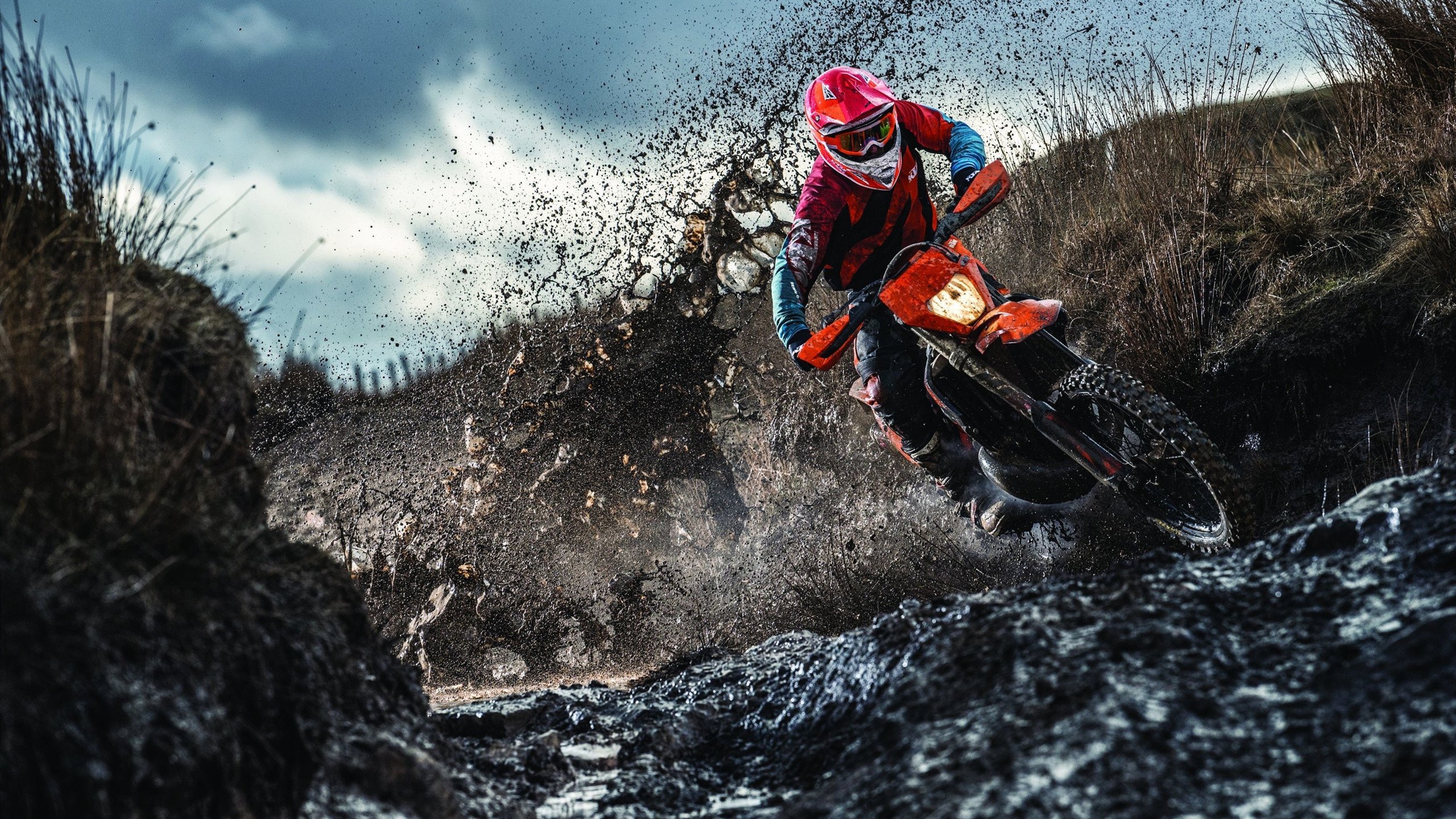 勇士封锁森林狼,切特成为关键先生,一场防守艺术的时代致敬